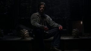 Swan Song